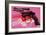 Gun, c.1981-82-Andy Warhol-Framed Art Print