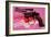 Gun, c.1981-82-Andy Warhol-Framed Art Print