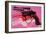 Gun, c.1981-82-Andy Warhol-Framed Art Print