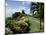 Gun Hill Signal Station, Barbados, West Indies, Caribbean, Central America-J Lightfoot-Mounted Photographic Print