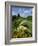 Gun Hill Signal Station, Barbados, West Indies, Caribbean, Central America-Lightfoot Jeremy-Framed Photographic Print