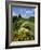 Gun Hill Signal Station, Barbados, West Indies, Caribbean, Central America-Lightfoot Jeremy-Framed Photographic Print