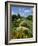 Gun Hill Signal Station, Barbados, West Indies, Caribbean, Central America-Lightfoot Jeremy-Framed Photographic Print