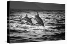 Spread The Fish Nets-Gunarto Song-Framed Photographic Print