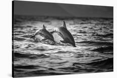 Spread The Fish Nets-Gunarto Song-Photographic Print