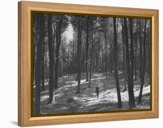 Gunder Hagg Training in the Woods Near Malmo-null-Framed Premier Image Canvas