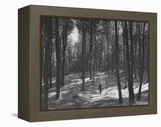 Gunder Hagg Training in the Woods Near Malmo-null-Framed Premier Image Canvas