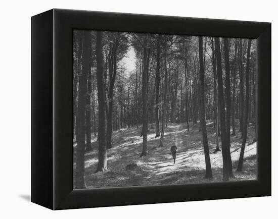 Gunder Hagg Training in the Woods Near Malmo-null-Framed Premier Image Canvas