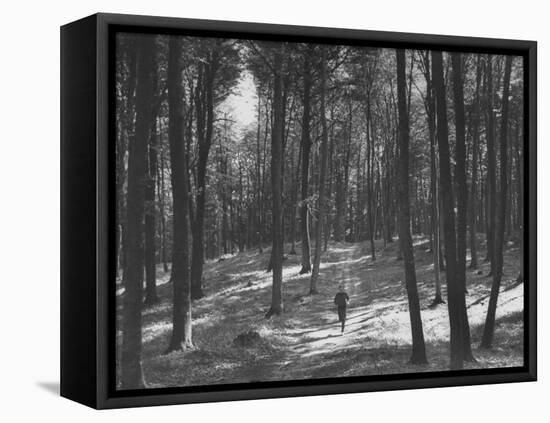 Gunder Hagg Training in the Woods Near Malmo-null-Framed Premier Image Canvas