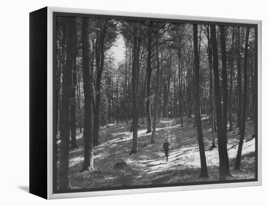 Gunder Hagg Training in the Woods Near Malmo-null-Framed Premier Image Canvas