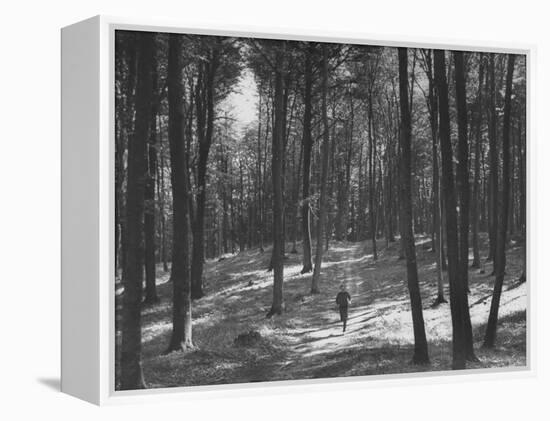 Gunder Hagg Training in the Woods Near Malmo-null-Framed Premier Image Canvas