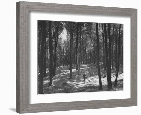 Gunder Hagg Training in the Woods Near Malmo-null-Framed Photographic Print