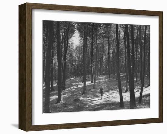 Gunder Hagg Training in the Woods Near Malmo-null-Framed Photographic Print