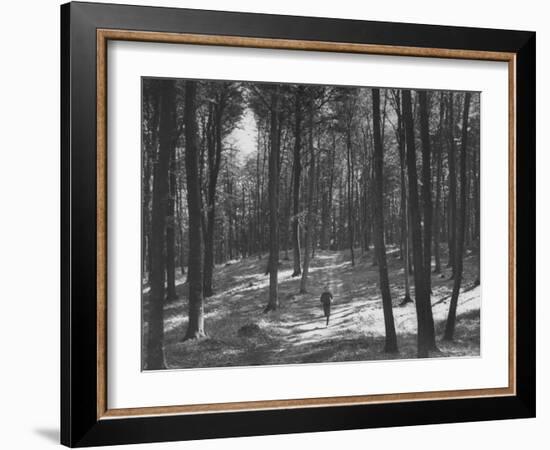 Gunder Hagg Training in the Woods Near Malmo-null-Framed Photographic Print