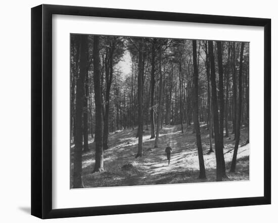 Gunder Hagg Training in the Woods Near Malmo-null-Framed Photographic Print