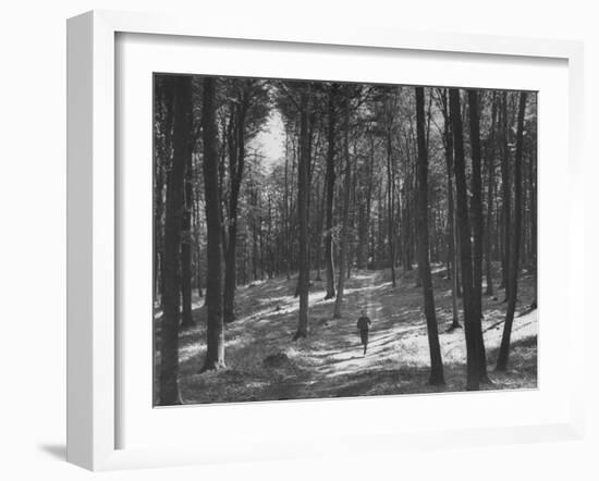 Gunder Hagg Training in the Woods Near Malmo-null-Framed Photographic Print