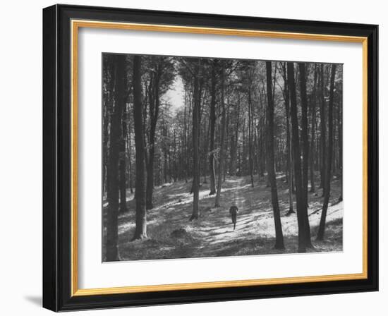 Gunder Hagg Training in the Woods Near Malmo-null-Framed Photographic Print