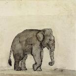 Elephant, C.1790-Gungaram Tambat-Premier Image Canvas