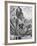 Gunhild Larking, Sweden's Entry for High Jump, Nervously Awaiting Turn to Compete at Olympic Games-George Silk-Framed Premium Photographic Print