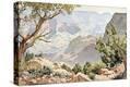 Stretched Canvas Print