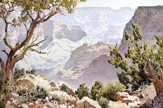 Sunlight on the Grand Canyon, 1924-Gunnar Widforss-Premier Image Canvas