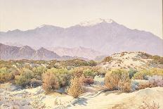 Palm Springs Desert-Gunnar Widforss-Framed Stretched Canvas