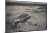 Gunner Working up to Fowl, 1886 (Platinum Print)-Peter Henry Emerson-Mounted Giclee Print