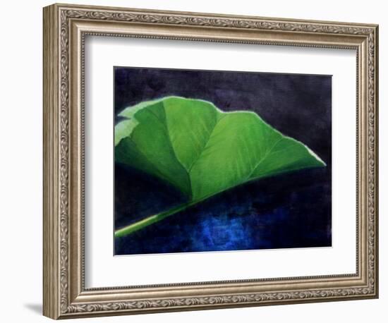 Gunnera Leaf-Lincoln Seligman-Framed Giclee Print