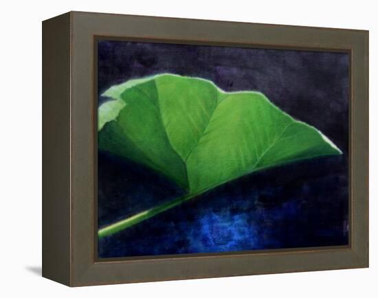Gunnera Leaf-Lincoln Seligman-Framed Premier Image Canvas