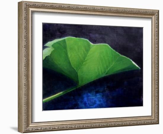 Gunnera Leaf-Lincoln Seligman-Framed Giclee Print