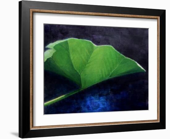 Gunnera Leaf-Lincoln Seligman-Framed Giclee Print