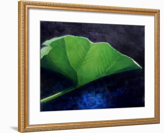 Gunnera Leaf-Lincoln Seligman-Framed Giclee Print
