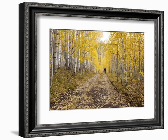 Gunnison National Forest, Colorado, USA-Jamie & Judy Wild-Framed Photographic Print