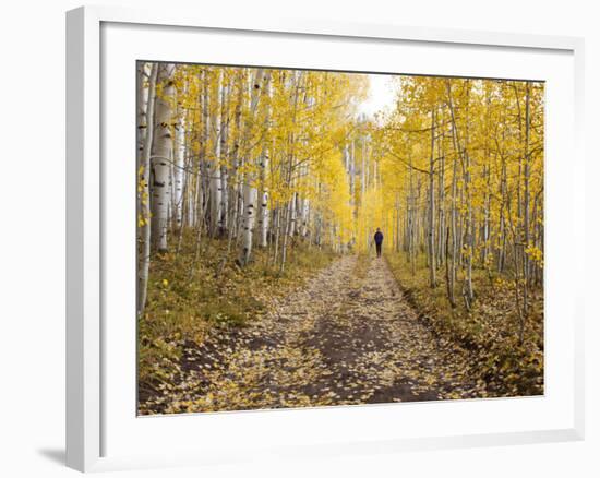 Gunnison National Forest, Colorado, USA-Jamie & Judy Wild-Framed Photographic Print