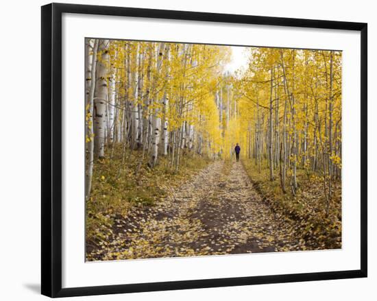 Gunnison National Forest, Colorado, USA-Jamie & Judy Wild-Framed Photographic Print