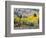 Gunnison National Forest, Colorado, USA-Jamie & Judy Wild-Framed Photographic Print