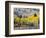 Gunnison National Forest, Colorado, USA-Jamie & Judy Wild-Framed Photographic Print