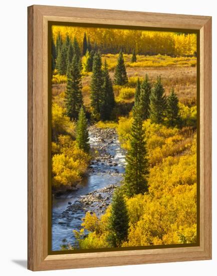 Gunnison National Forest, Colorado, USA-Cathy & Gordon Illg-Framed Premier Image Canvas