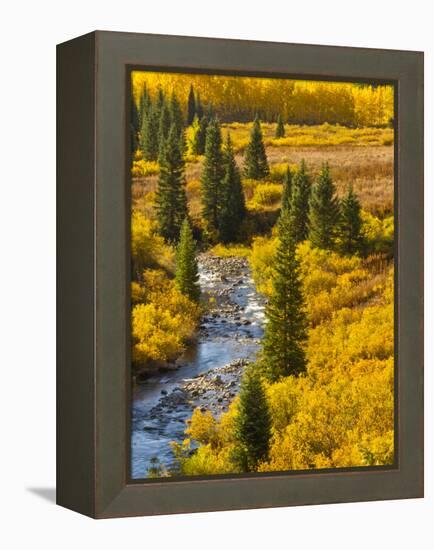 Gunnison National Forest, Colorado, USA-Cathy & Gordon Illg-Framed Premier Image Canvas