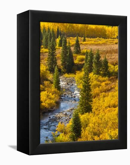 Gunnison National Forest, Colorado, USA-Cathy & Gordon Illg-Framed Premier Image Canvas