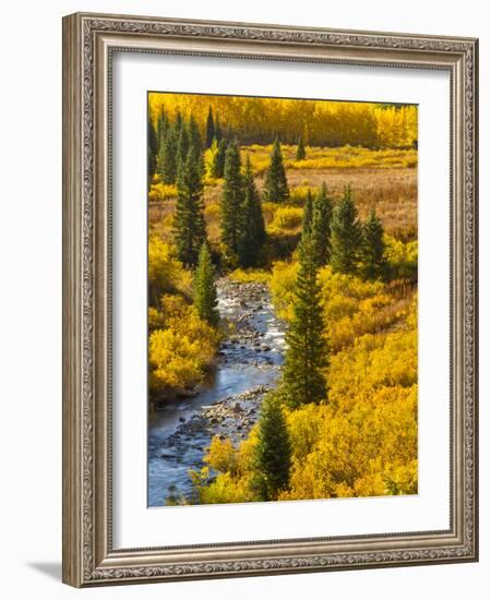 Gunnison National Forest, Colorado, USA-Cathy & Gordon Illg-Framed Photographic Print