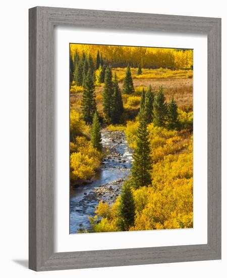 Gunnison National Forest, Colorado, USA-Cathy & Gordon Illg-Framed Photographic Print