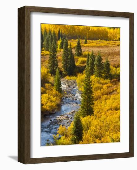 Gunnison National Forest, Colorado, USA-Cathy & Gordon Illg-Framed Photographic Print