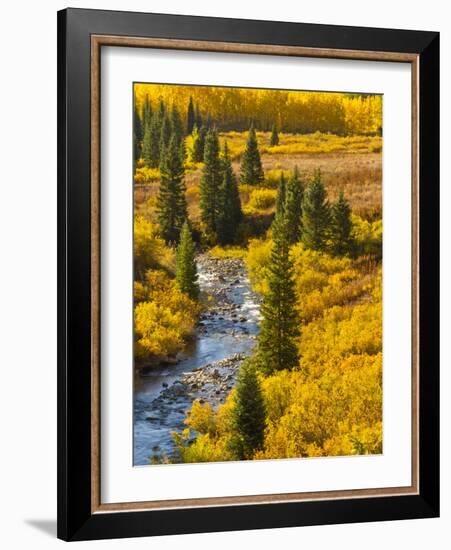 Gunnison National Forest, Colorado, USA-Cathy & Gordon Illg-Framed Photographic Print