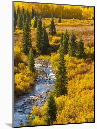 Gunnison National Forest, Colorado, USA-Cathy & Gordon Illg-Mounted Photographic Print