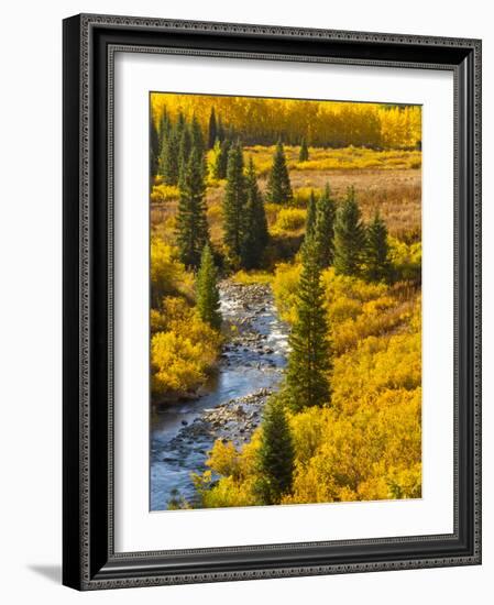 Gunnison National Forest, Colorado, USA-Cathy & Gordon Illg-Framed Photographic Print