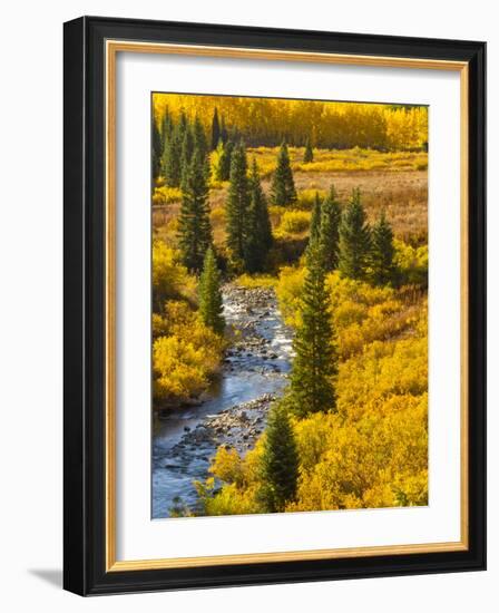 Gunnison National Forest, Colorado, USA-Cathy & Gordon Illg-Framed Photographic Print