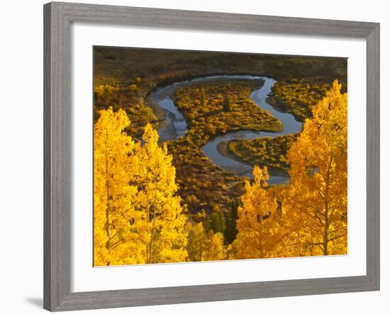 Gunnison National Forest, Colorado, USA-Cathy & Gordon Illg-Framed Photographic Print