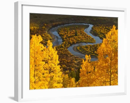 Gunnison National Forest, Colorado, USA-Cathy & Gordon Illg-Framed Photographic Print