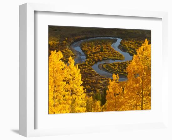 Gunnison National Forest, Colorado, USA-Cathy & Gordon Illg-Framed Photographic Print